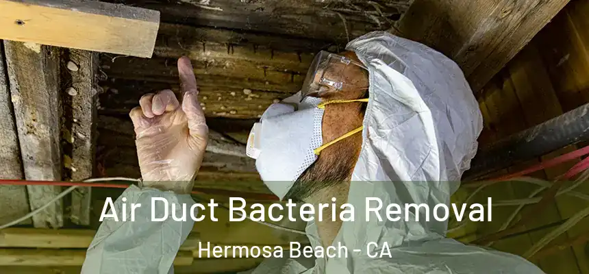  Air Duct Bacteria Removal Hermosa Beach - CA