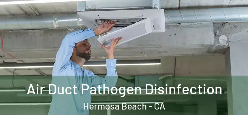 Air Duct Pathogen Disinfection Hermosa Beach - CA