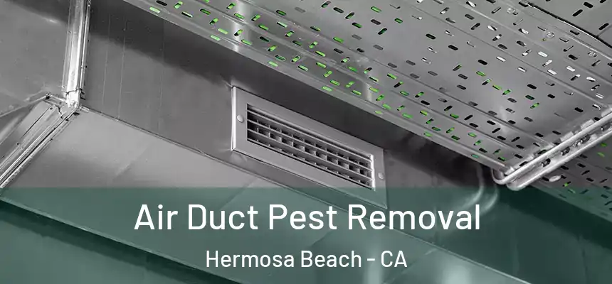 Air Duct Pest Removal Hermosa Beach - CA