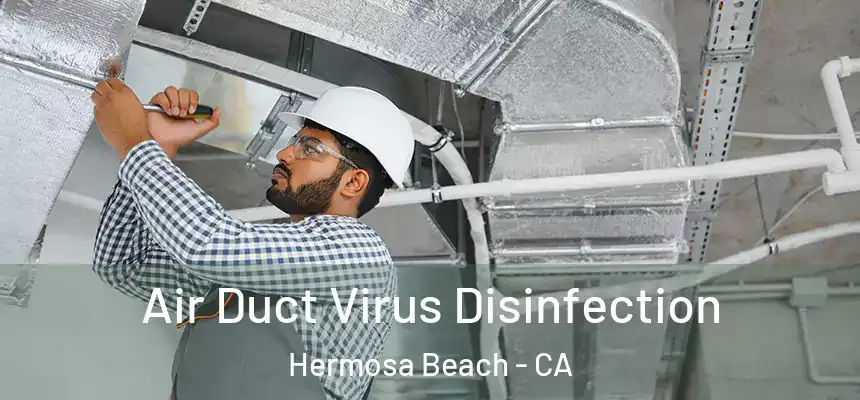 Air Duct Virus Disinfection Hermosa Beach - CA