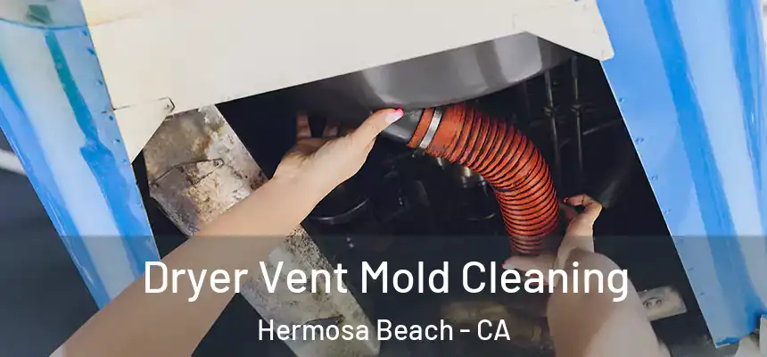 Dryer Vent Mold Cleaning Hermosa Beach - CA