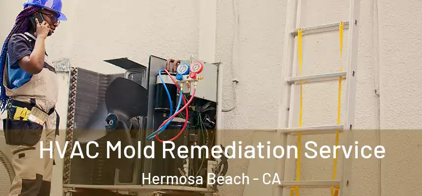 HVAC Mold Remediation Service Hermosa Beach - CA