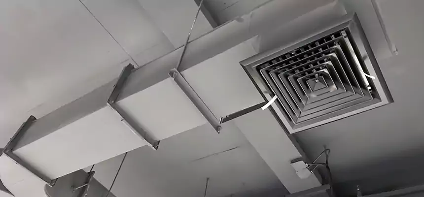 Restorative Allergy Relief Vent Cleaning – Coil, Blower & Housing Detail in Hermosa Beach