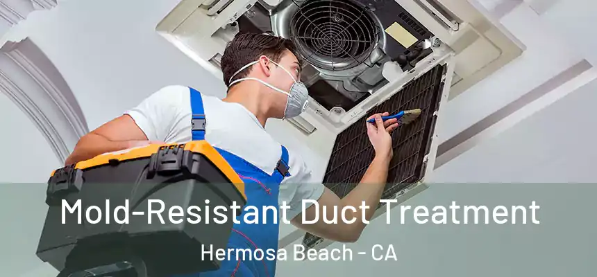  Mold-Resistant Duct Treatment Hermosa Beach - CA