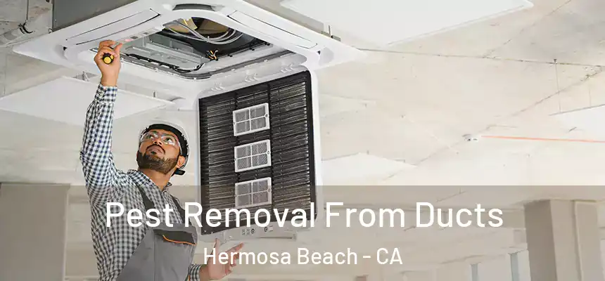 Pest Removal From Ducts Hermosa Beach - CA