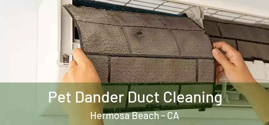 Pet Dander Duct Cleaning Hermosa Beach - CA