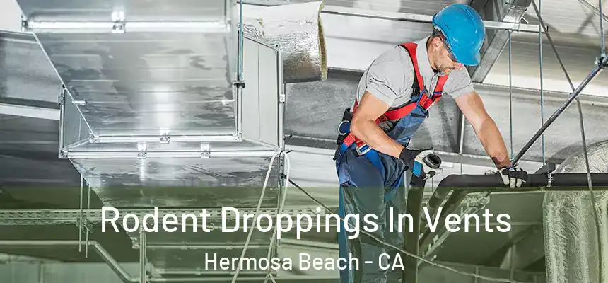  Rodent Droppings In Vents Hermosa Beach - CA