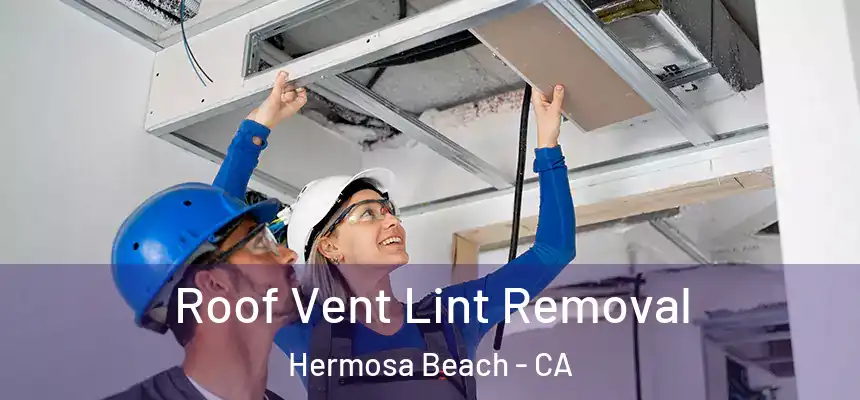Roof Vent Lint Removal Hermosa Beach - CA