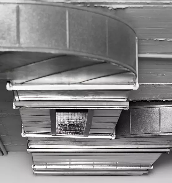 Professional Air Duct Pet Hair Removal in Hermosa Beach, CA