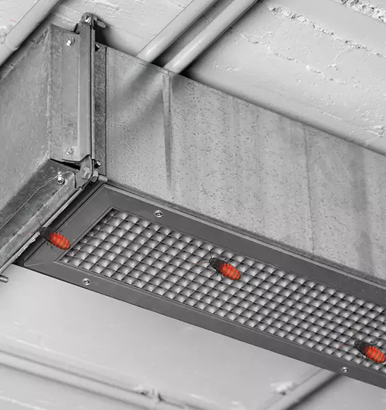 Affordable Insect Removal from Air Ducts in Hermosa Beach, CA