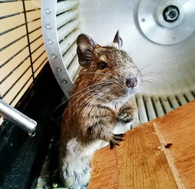 Why Homeowners & Businesses Trust Us Hermosa Beach, CA