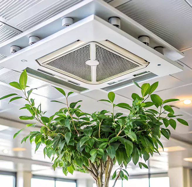 Why Homeowners & Businesses Trust Us in Hermosa Beach, CA