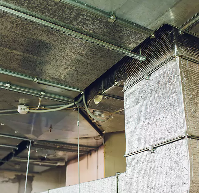 Why Homeowners & Businesses Trust Us in Hermosa Beach, CA?